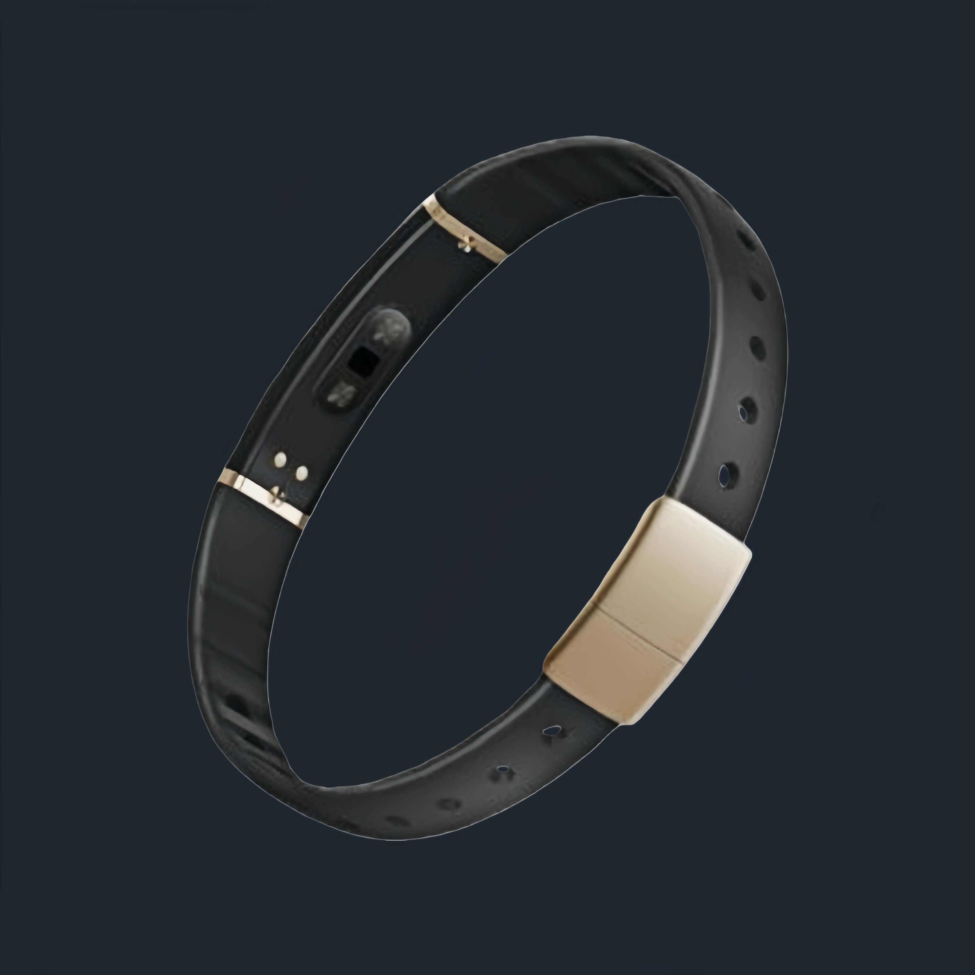 Complete supplied wristband render showing its enclosure, inner contact area and strap.